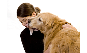 Dog trainers love dog kisses!